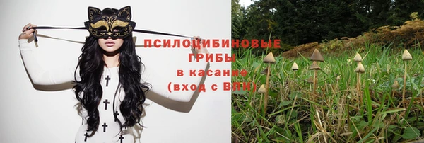 героин Богданович